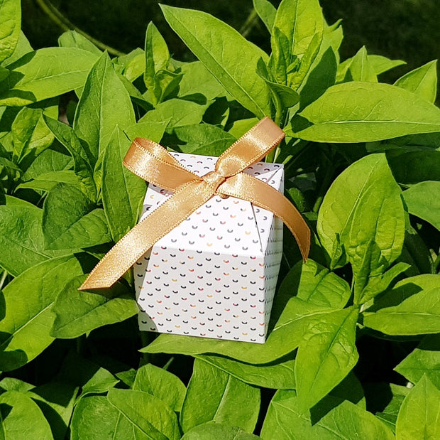 boite cadeau LOU réutilisable éco-conçue avec nœud cadeau satin doré collection couleur papillon Les Belles Musettes mase in France